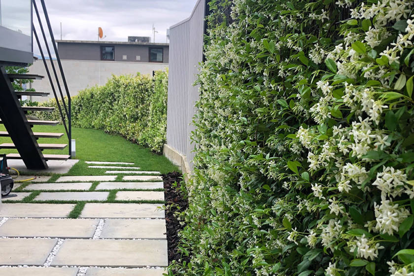 decoración de jardín con el césped recién cortado, pasillo decorativo y plantas de exterior